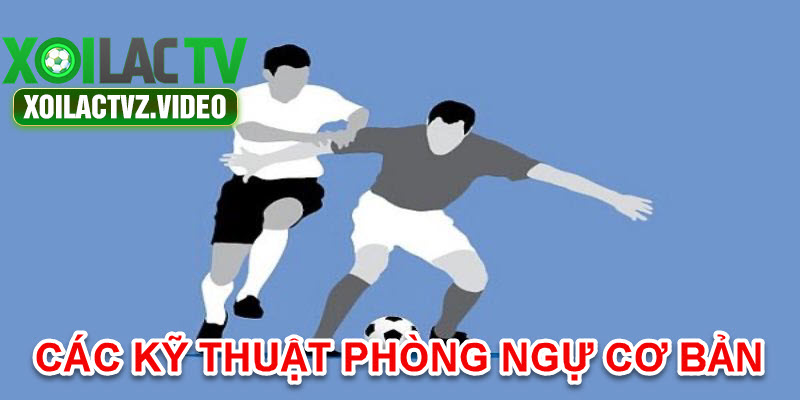 Tổng hợp các kỹ thuật cơ bản