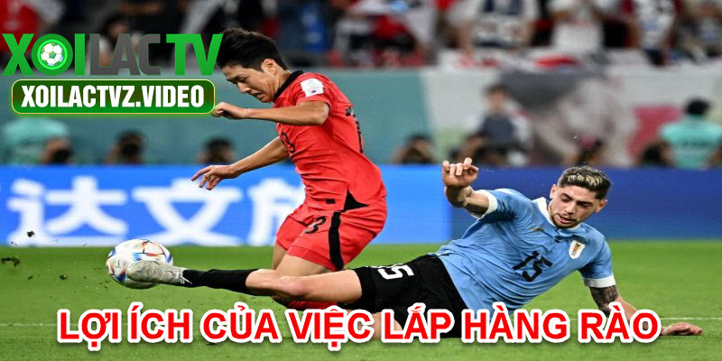 Lợi ích của việc lập hàng rào bảo vệ khi chơi