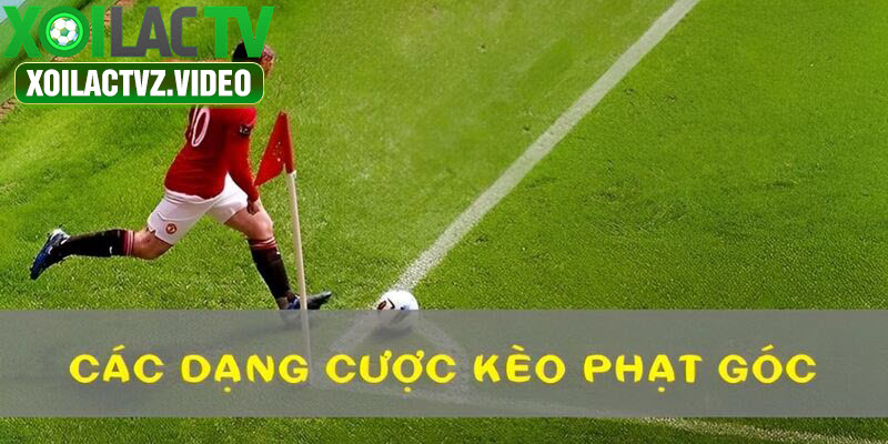 Người chơi nhiều lựa chọn cược kèo phạt góc khác nhau