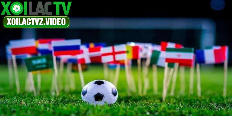 Nhiều người cần biết Worldcup tổ chức mấy năm 1 lần