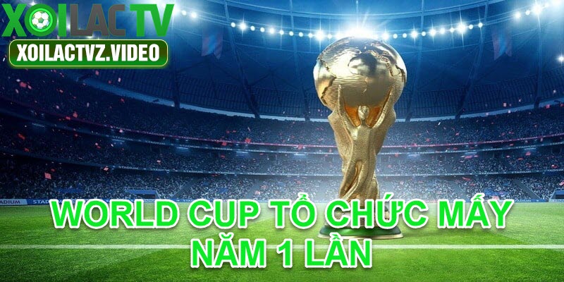 WORLD CUP TỔ CHỨC MẤY NĂM 1 LẦN